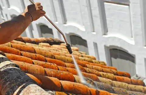 Nettoyage de toitures - Paris 9ème arrondissement